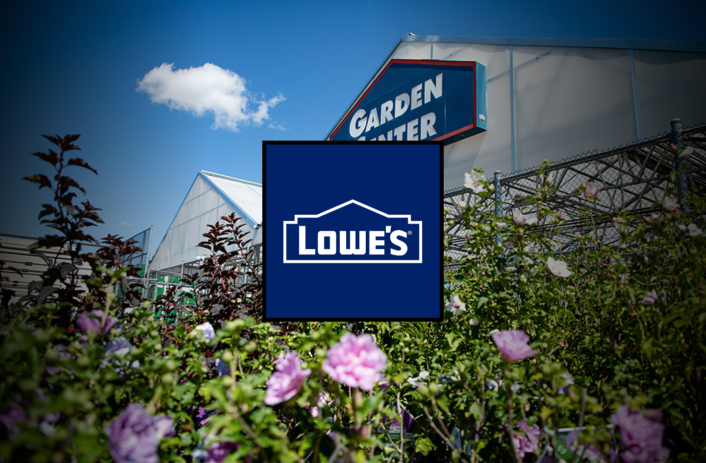 Lowe's Project