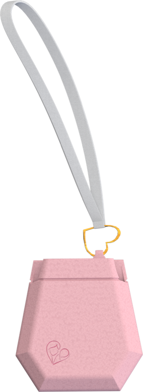 The pouch on a strap, to clip onto a bag.